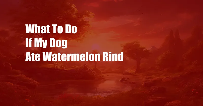 What To Do If My Dog Ate Watermelon Rind