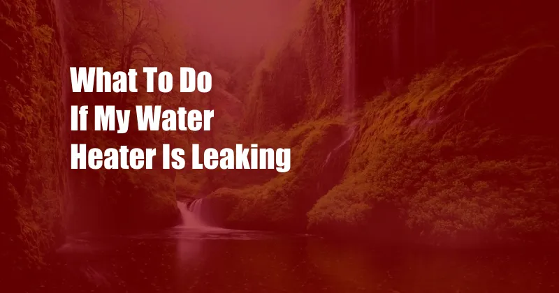 What To Do If My Water Heater Is Leaking