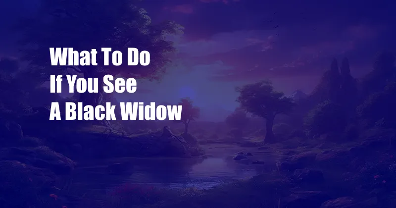 What To Do If You See A Black Widow
