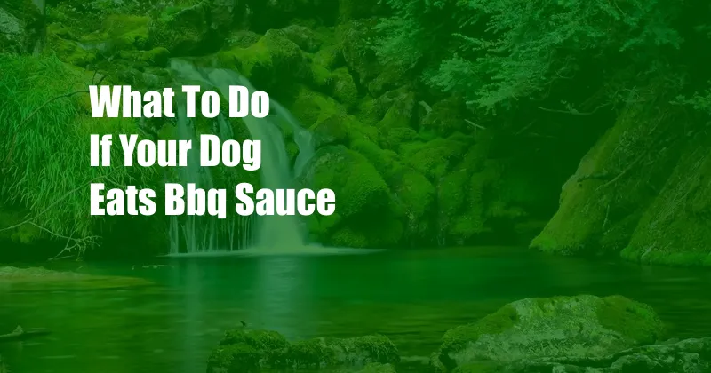 What To Do If Your Dog Eats Bbq Sauce