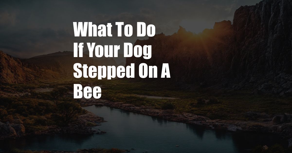 What To Do If Your Dog Stepped On A Bee