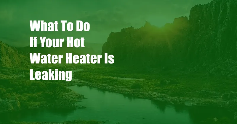 What To Do If Your Hot Water Heater Is Leaking