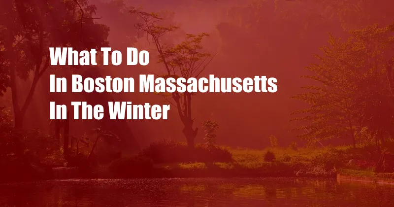 What To Do In Boston Massachusetts In The Winter