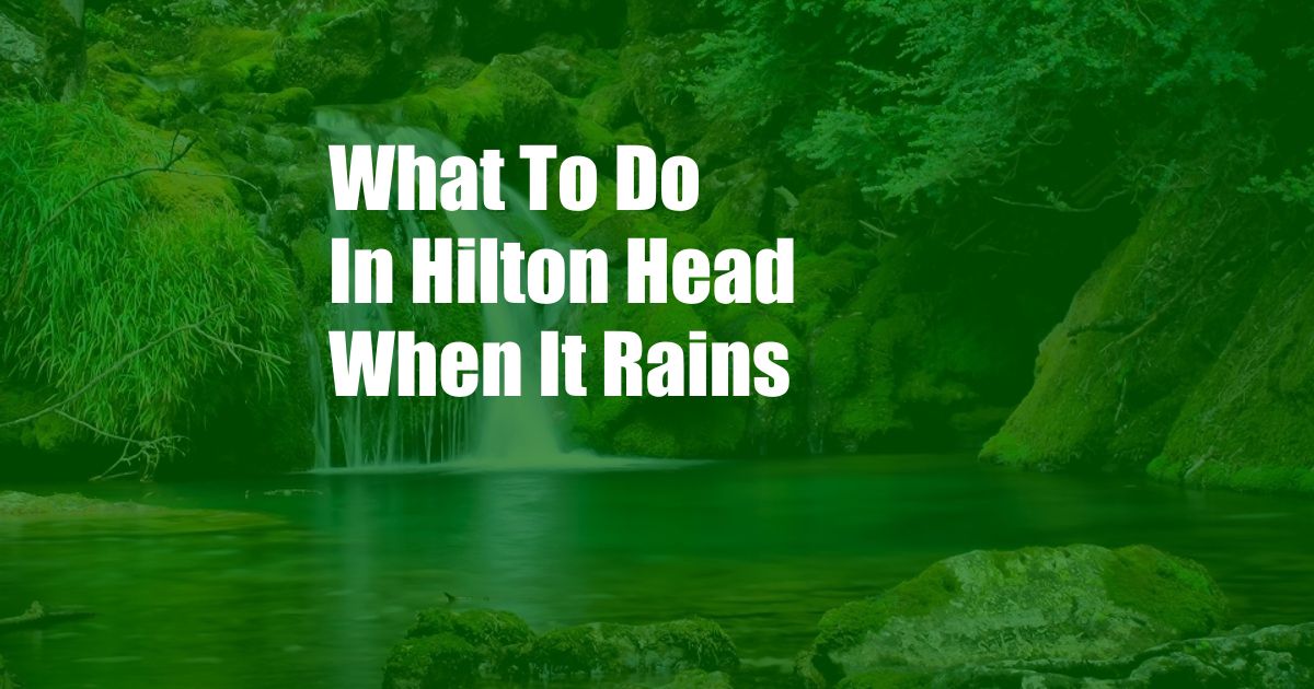 What To Do In Hilton Head When It Rains