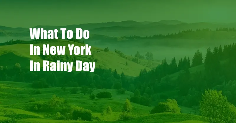 What To Do In New York In Rainy Day