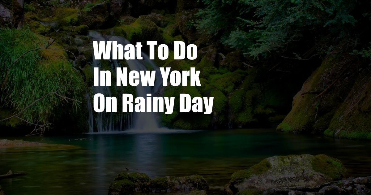 What To Do In New York On Rainy Day