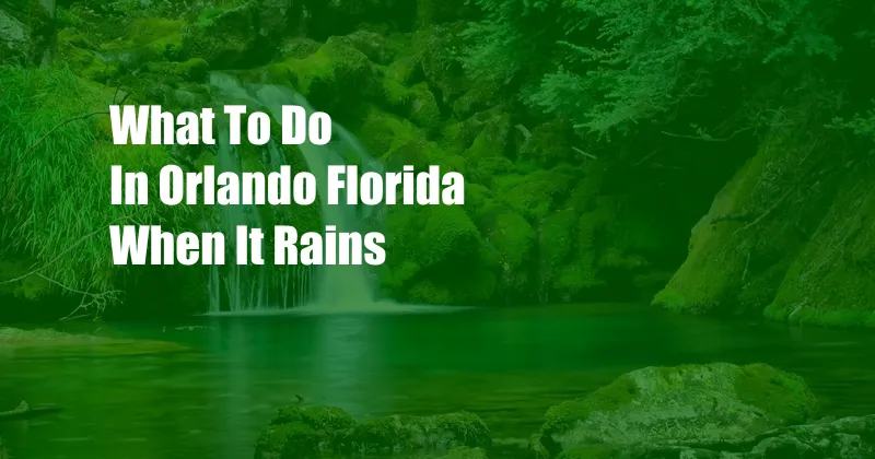 What To Do In Orlando Florida When It Rains