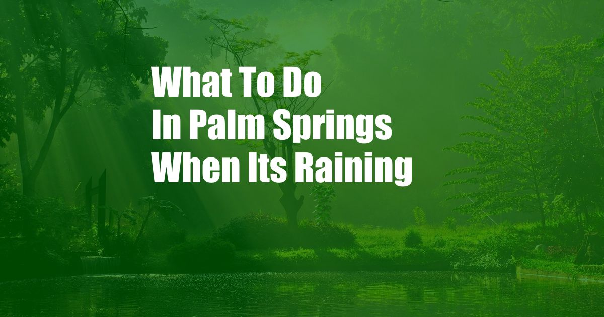 What To Do In Palm Springs When Its Raining