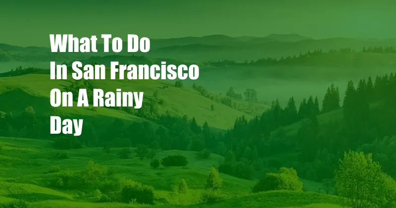 What To Do In San Francisco On A Rainy Day