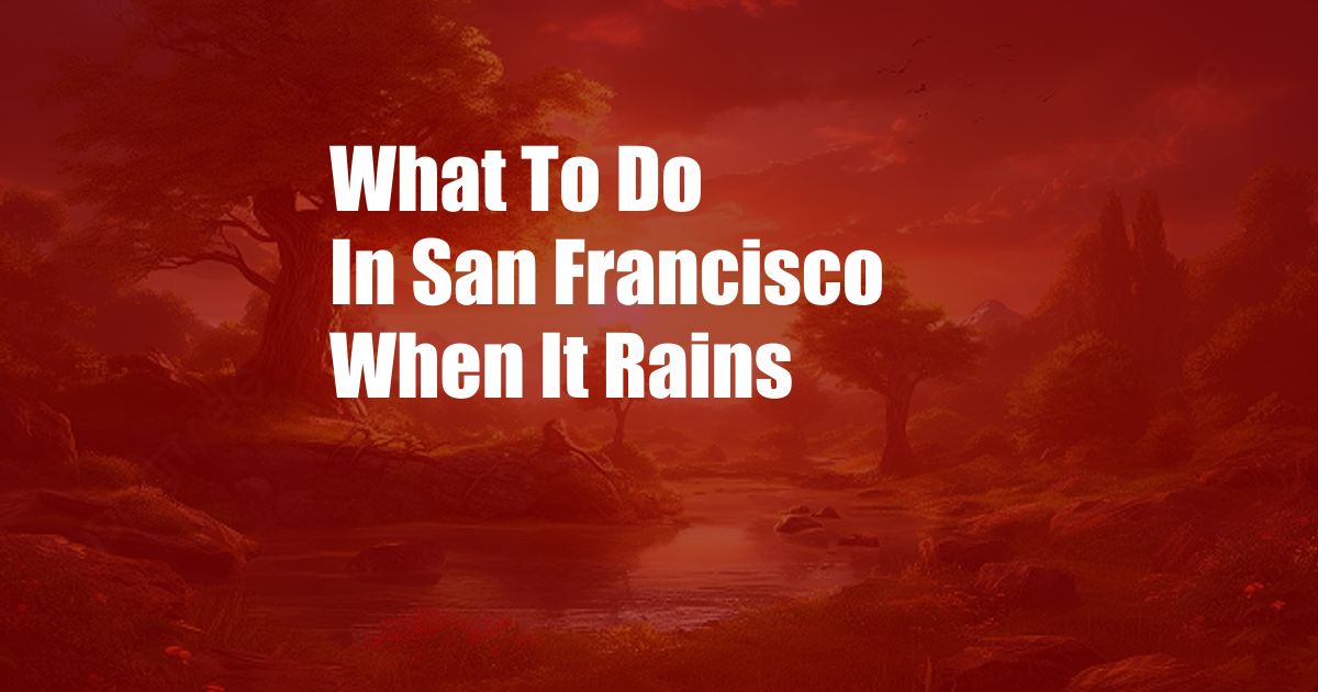 What To Do In San Francisco When It Rains