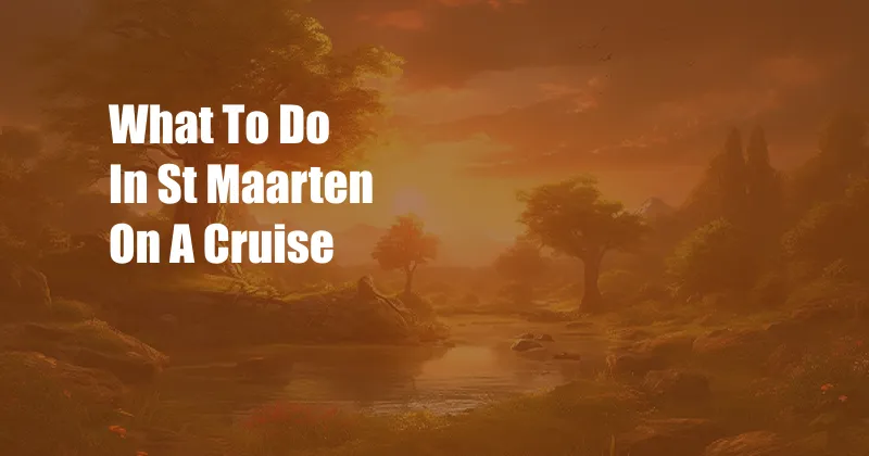 What To Do In St Maarten On A Cruise