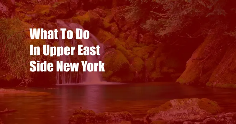 What To Do In Upper East Side New York