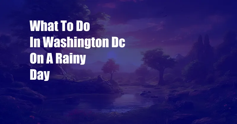 What To Do In Washington Dc On A Rainy Day