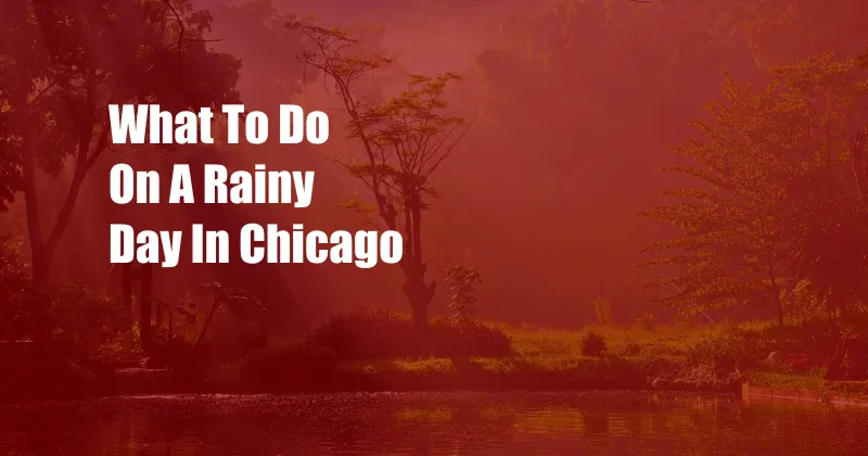 What To Do On A Rainy Day In Chicago