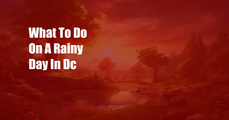 What To Do On A Rainy Day In Dc