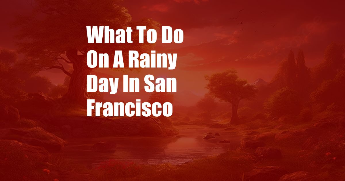 What To Do On A Rainy Day In San Francisco
