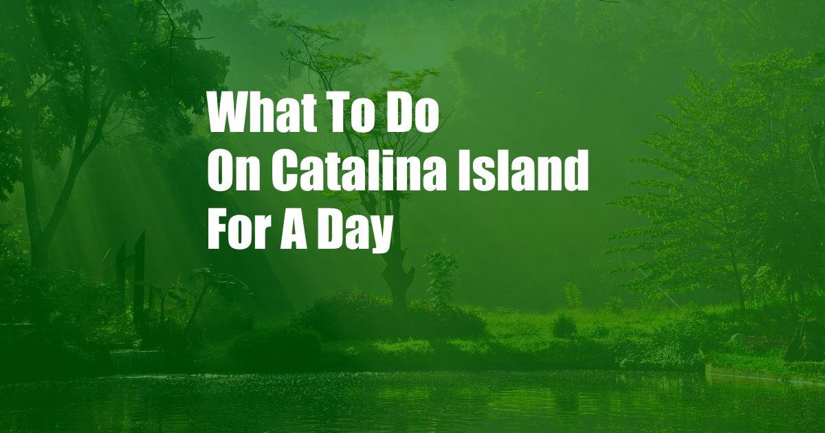 What To Do On Catalina Island For A Day