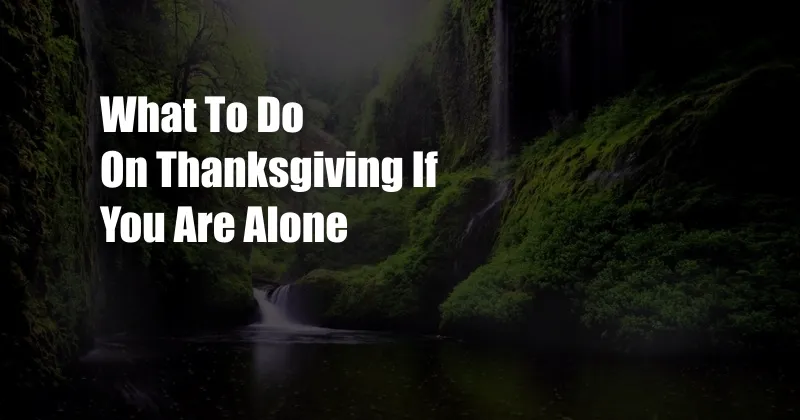 What To Do On Thanksgiving If You Are Alone