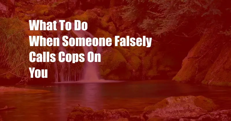 What To Do When Someone Falsely Calls Cops On You