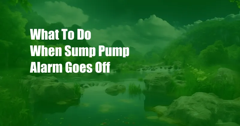 What To Do When Sump Pump Alarm Goes Off