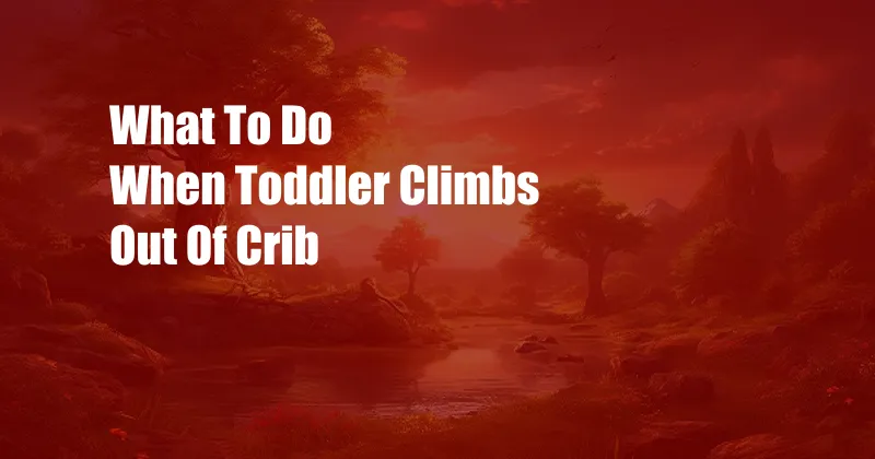 What To Do When Toddler Climbs Out Of Crib