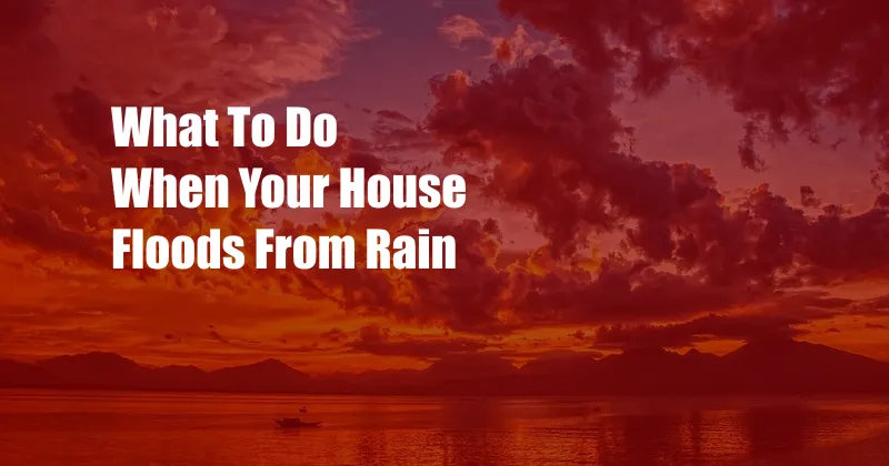 What To Do When Your House Floods From Rain
