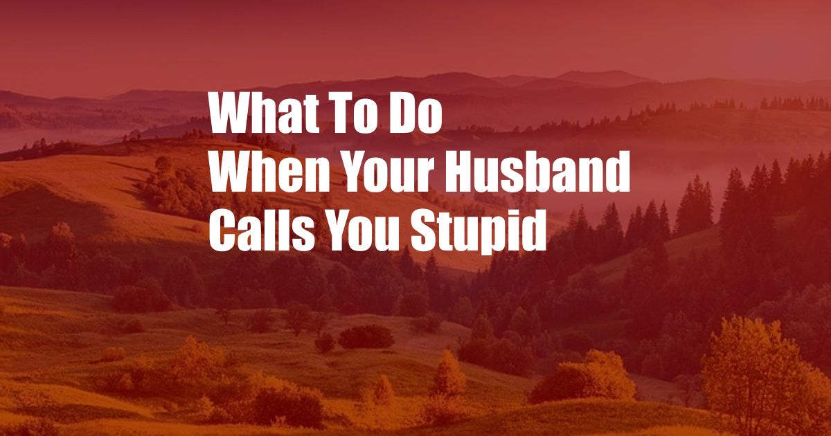 What To Do When Your Husband Calls You Stupid