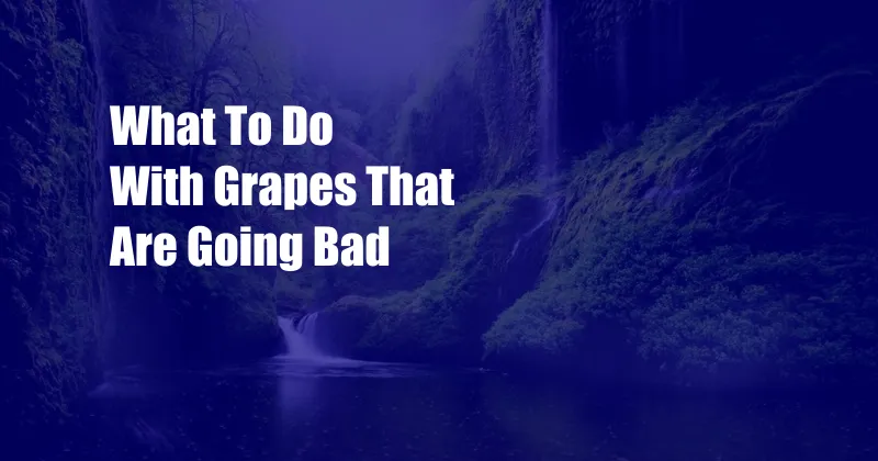 What To Do With Grapes That Are Going Bad