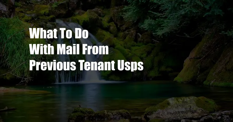 What To Do With Mail From Previous Tenant Usps