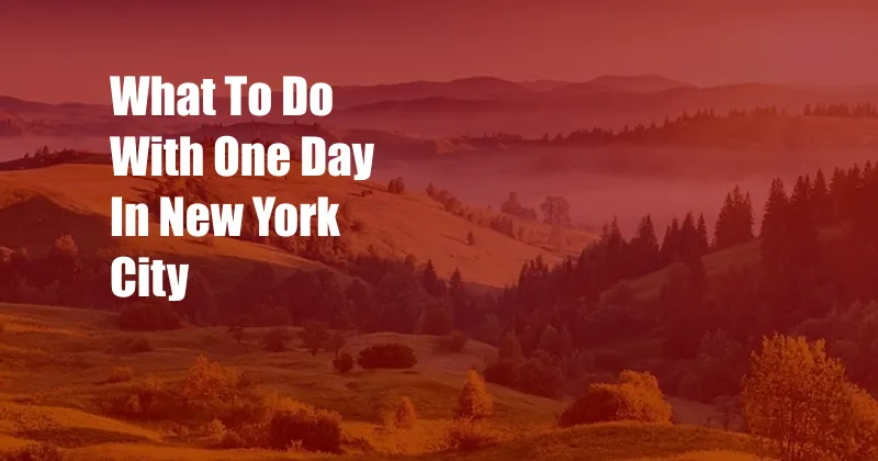 What To Do With One Day In New York City