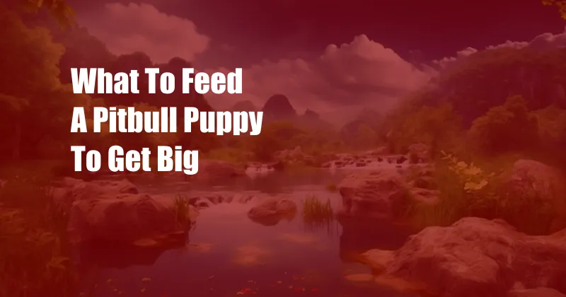 What To Feed A Pitbull Puppy To Get Big