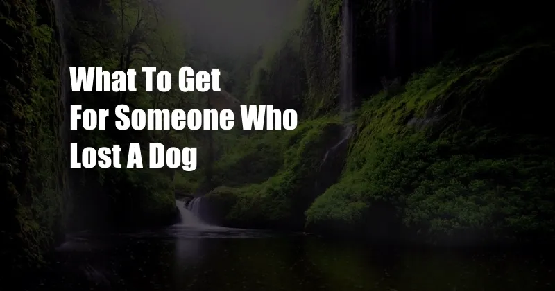 What To Get For Someone Who Lost A Dog