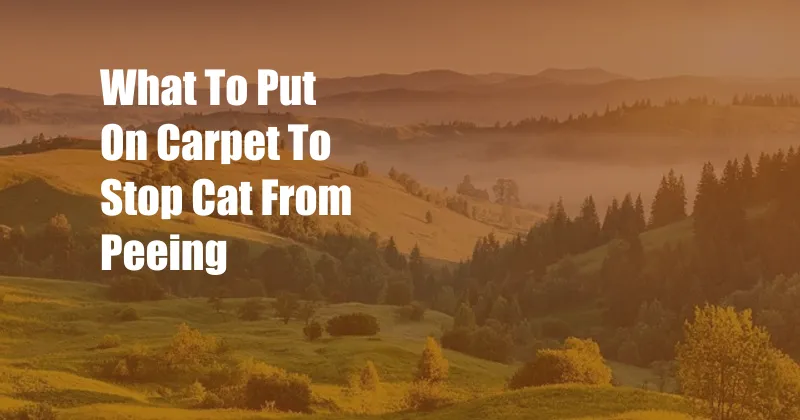 What To Put On Carpet To Stop Cat From Peeing