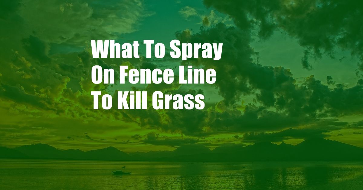 What To Spray On Fence Line To Kill Grass