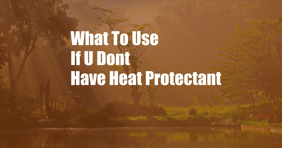 What To Use If U Dont Have Heat Protectant