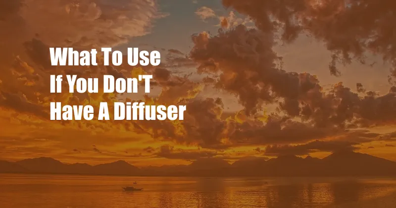 What To Use If You Don'T Have A Diffuser