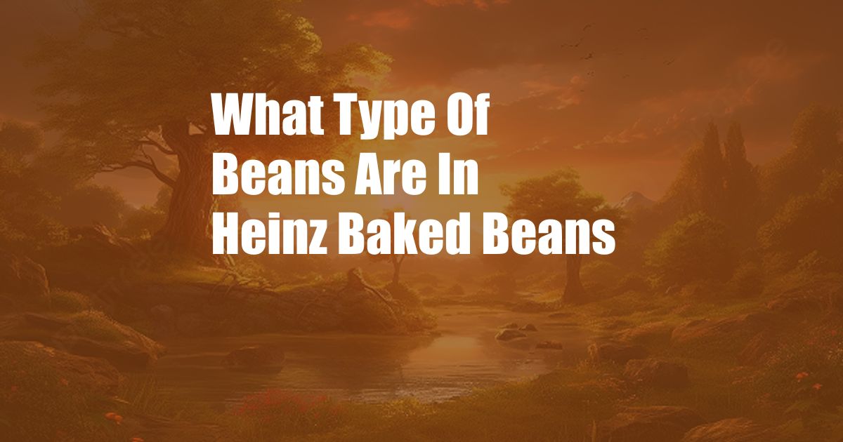What Type Of Beans Are In Heinz Baked Beans