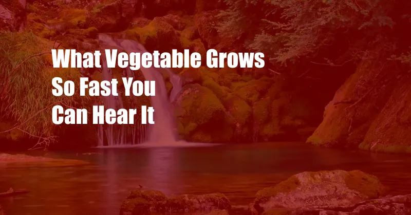 What Vegetable Grows So Fast You Can Hear It