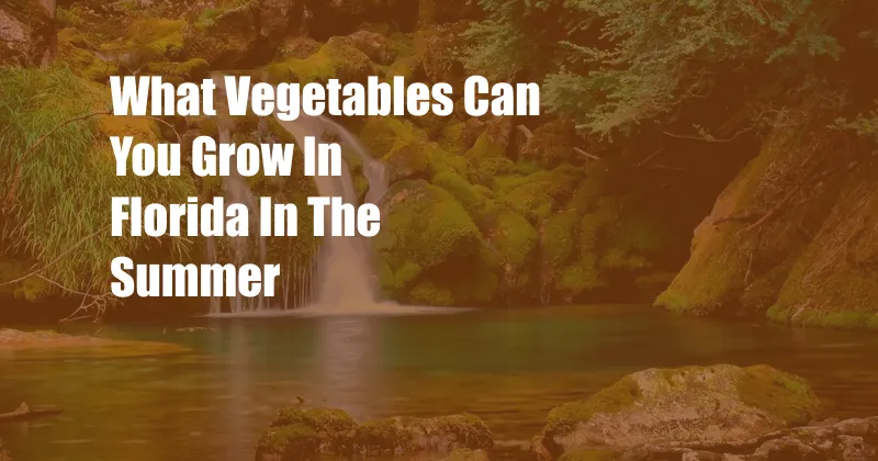 What Vegetables Can You Grow In Florida In The Summer