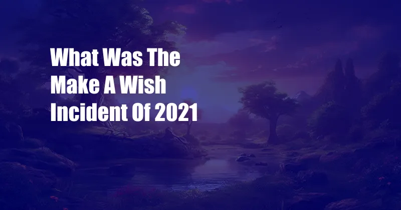 What Was The Make A Wish Incident Of 2021