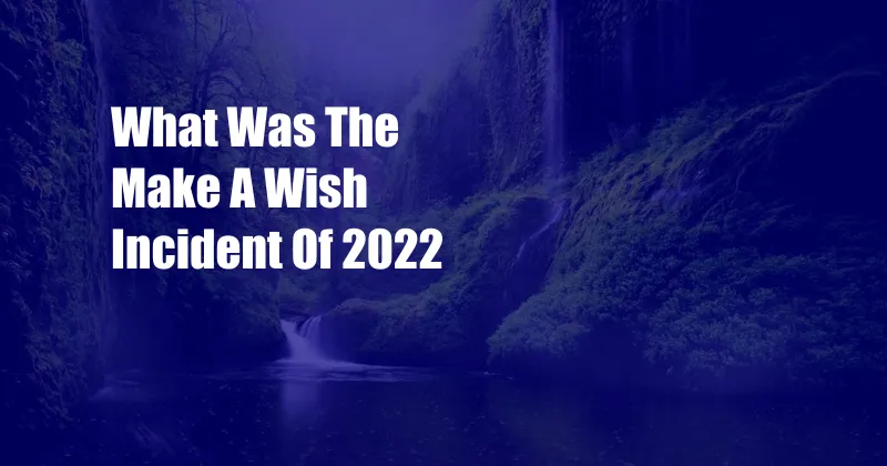 What Was The Make A Wish Incident Of 2022