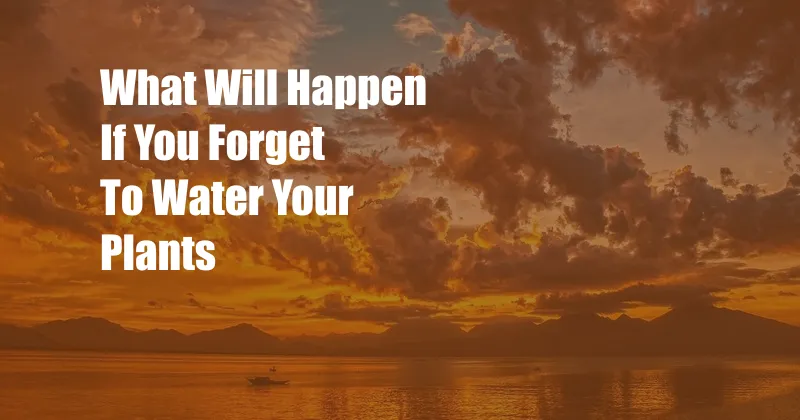What Will Happen If You Forget To Water Your Plants
