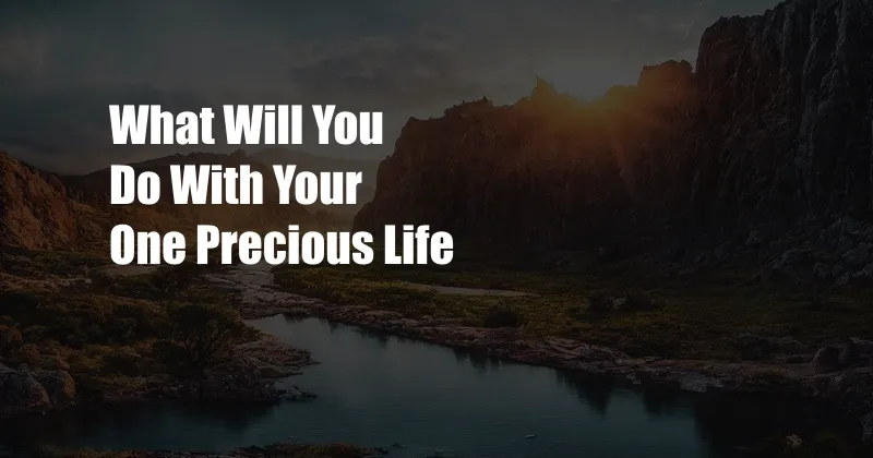 What Will You Do With Your One Precious Life