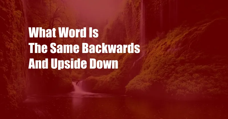 What Word Is The Same Backwards And Upside Down