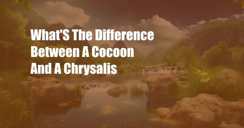 What'S The Difference Between A Cocoon And A Chrysalis