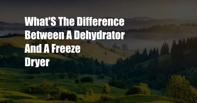 What'S The Difference Between A Dehydrator And A Freeze Dryer