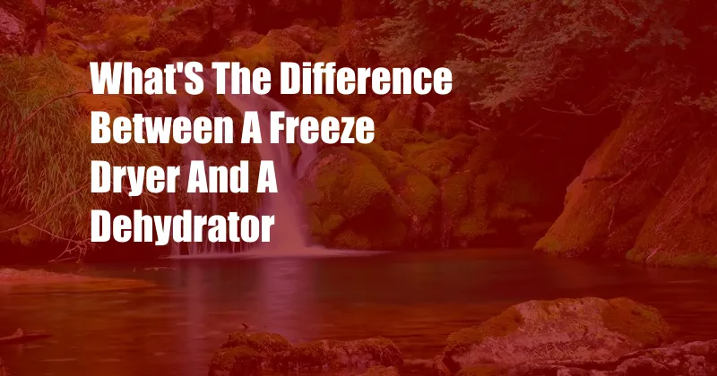 What'S The Difference Between A Freeze Dryer And A Dehydrator