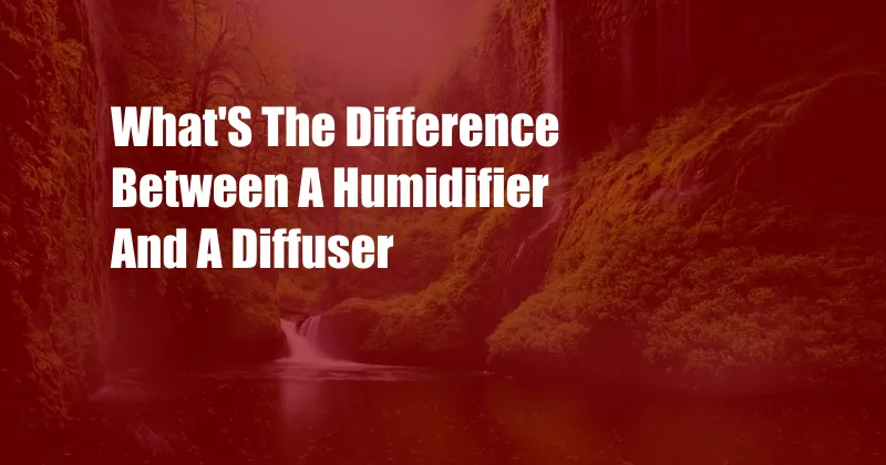 What'S The Difference Between A Humidifier And A Diffuser