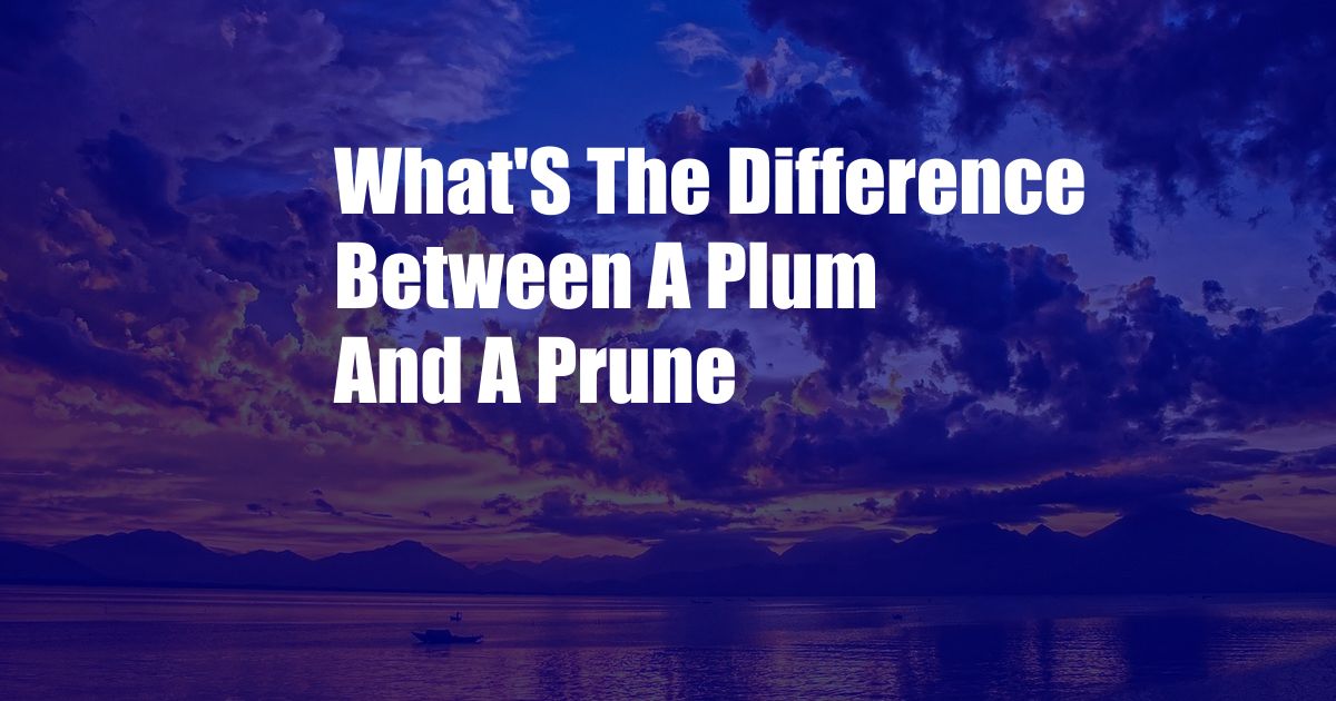 What'S The Difference Between A Plum And A Prune