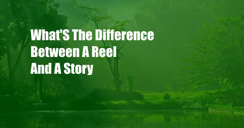 What'S The Difference Between A Reel And A Story